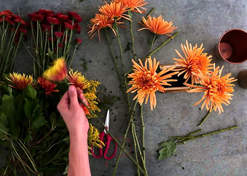 Fall Florestry 500×357