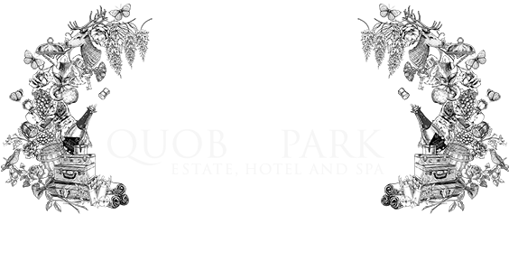 YRFTE & EGX COMBORetina