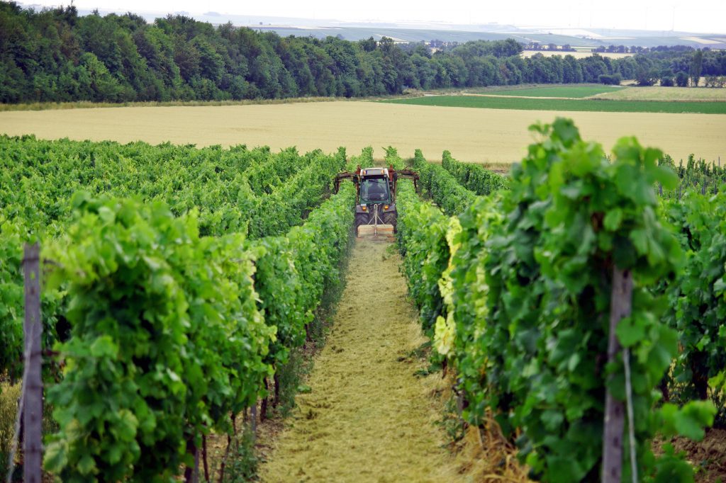 In the meantime, we wish for you all to stay safe, look after your loved ones, neighbours and support your local communities.  Myself and the whole team here at Quob Park look forward to being able to welcome you back to the vineyard soon - hopefully in the not too distant future.