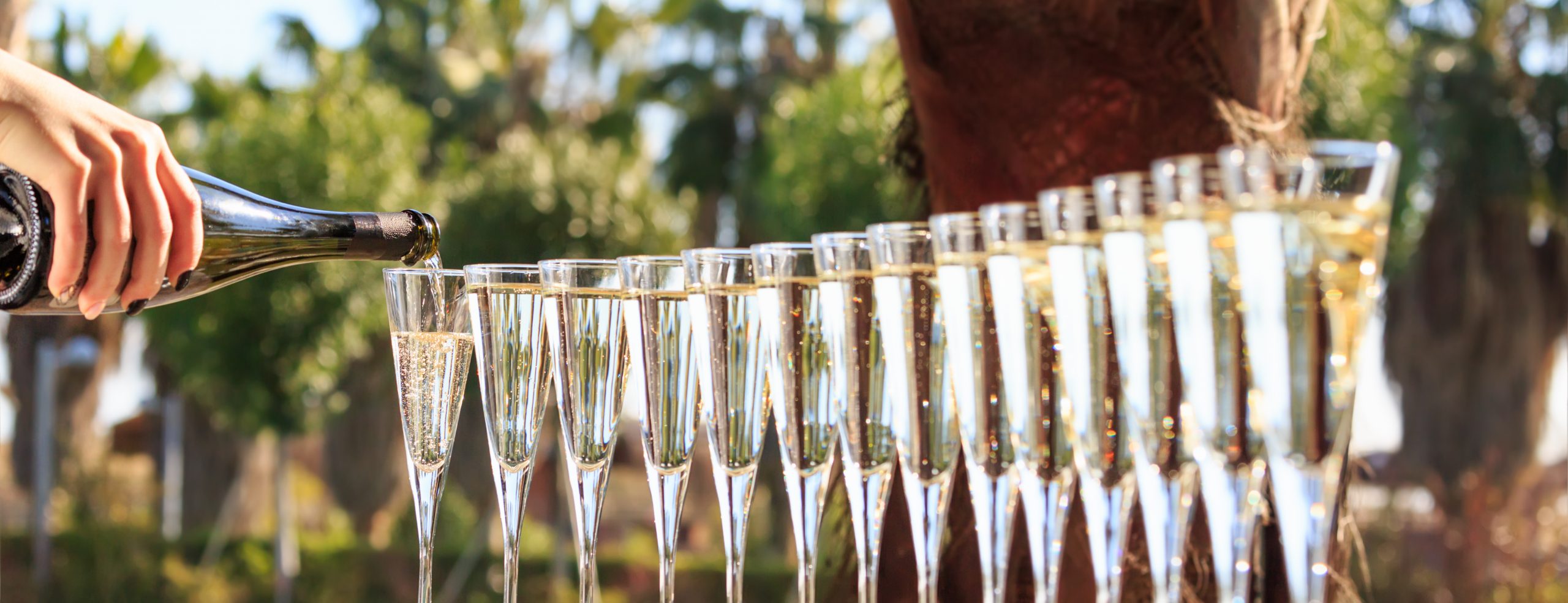 Many glasses of English Sparkling Wine being poured at an outdoor party.