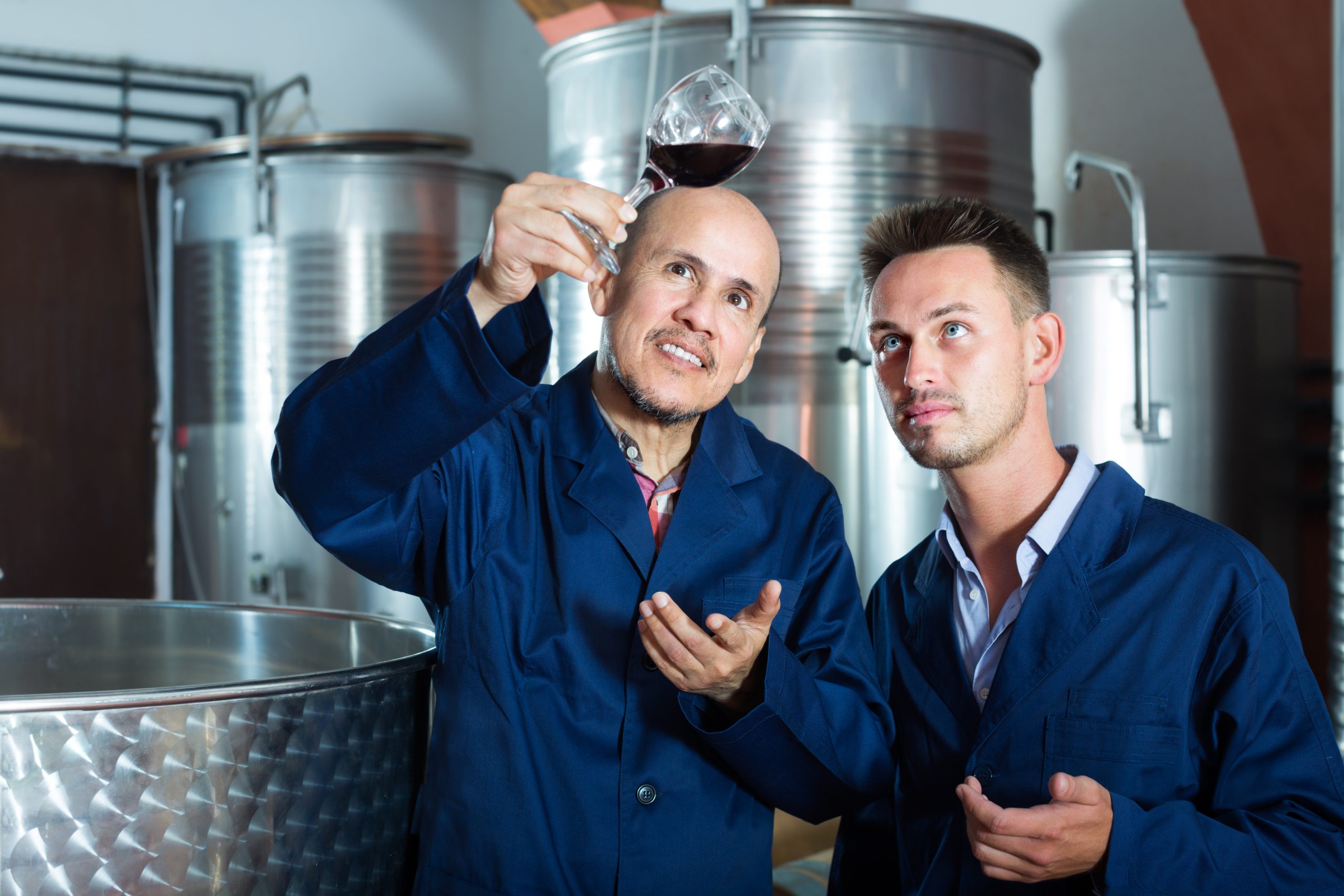 Adult two workers examining sample of wine