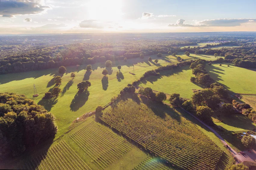 Quob Park Estate Aerial