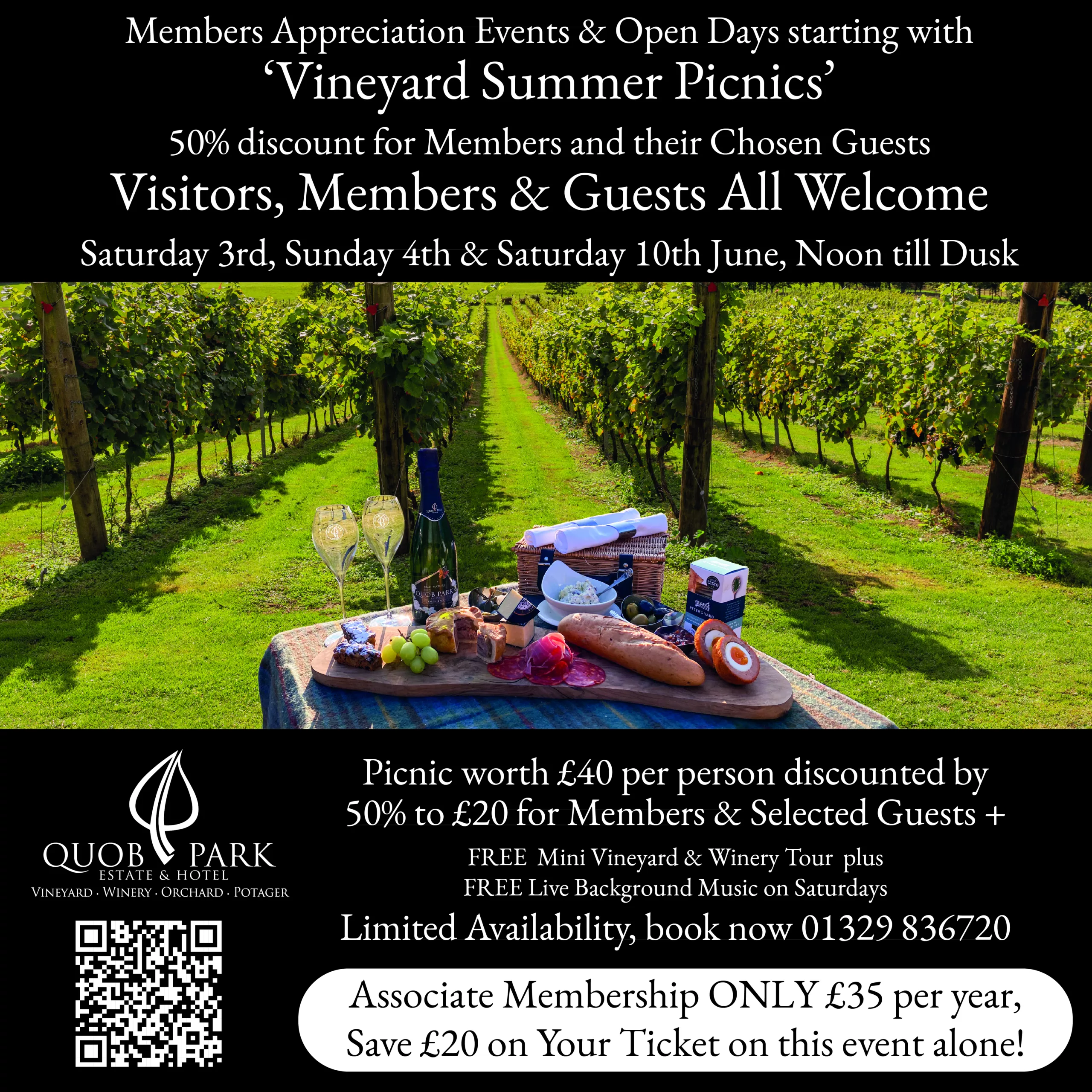 Quob Park Vineyard Summer Picnics