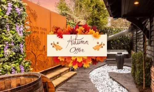 autumnOffer