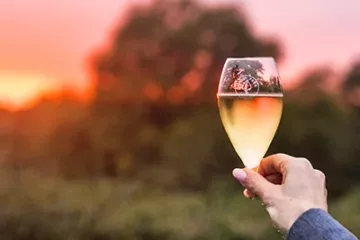 Quob Retreat Carousel_0029_20251016_180810